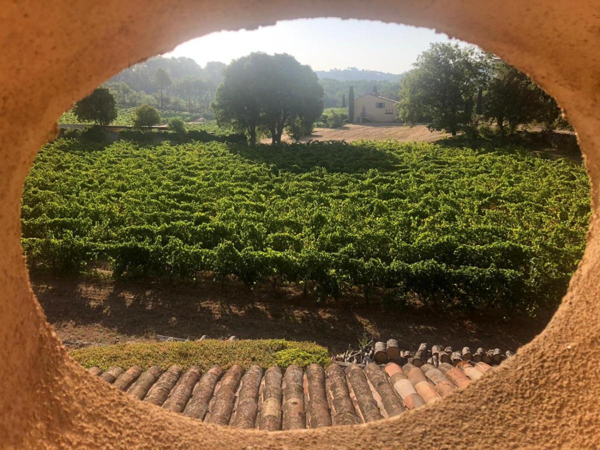 Domaine Du Clos D'Alari-Chambres D'Hotes Au Milieu Des Vignes Saint-Antonin-du-Var Exteriör bild