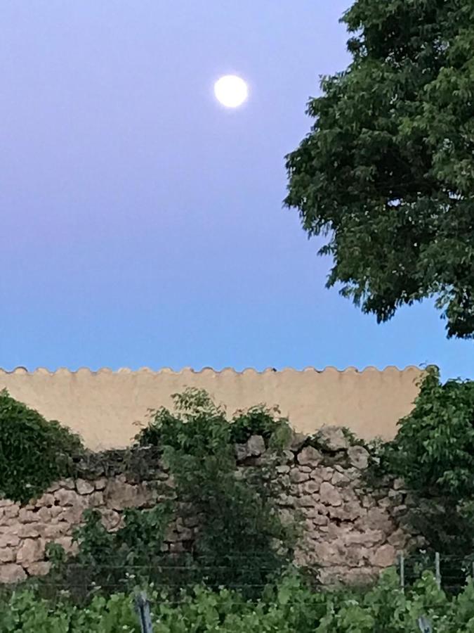 Domaine Du Clos D'Alari-Chambres D'Hotes Au Milieu Des Vignes Saint-Antonin-du-Var Exteriör bild
