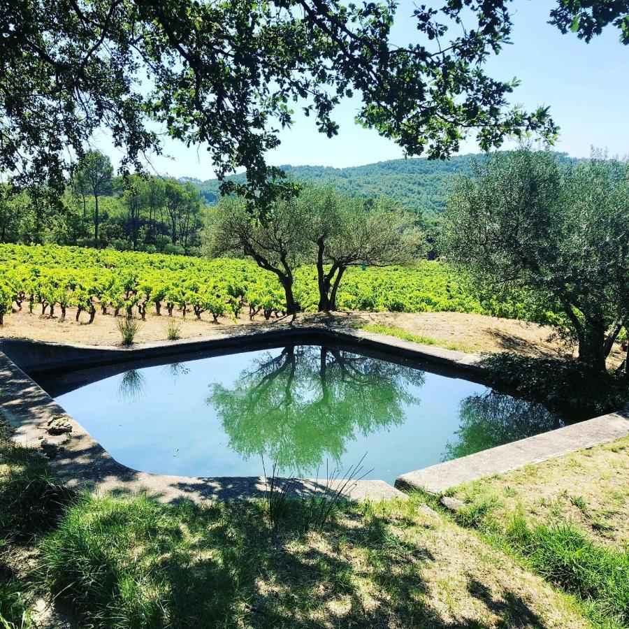 Domaine Du Clos D'Alari-Chambres D'Hotes Au Milieu Des Vignes Saint-Antonin-du-Var Exteriör bild