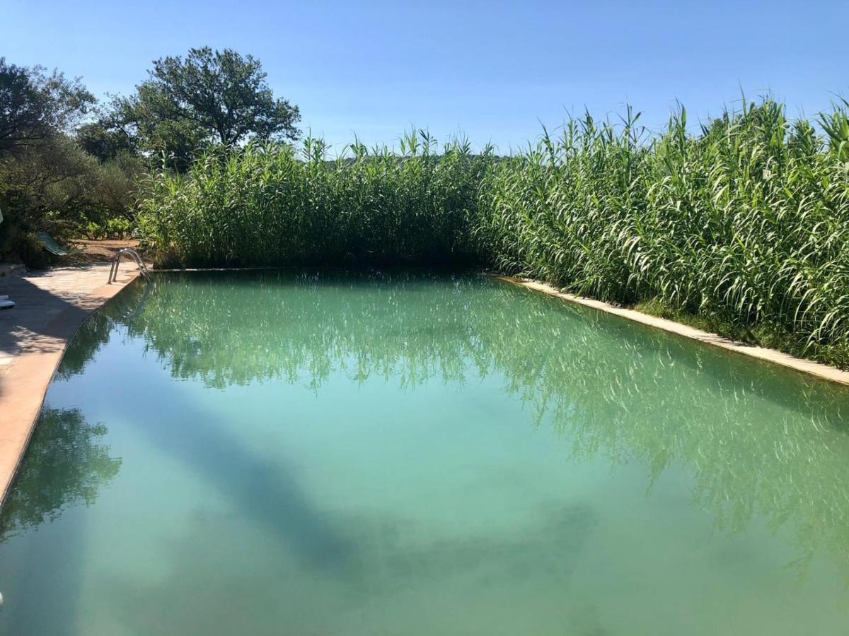 Domaine Du Clos D'Alari-Chambres D'Hotes Au Milieu Des Vignes Saint-Antonin-du-Var Exteriör bild