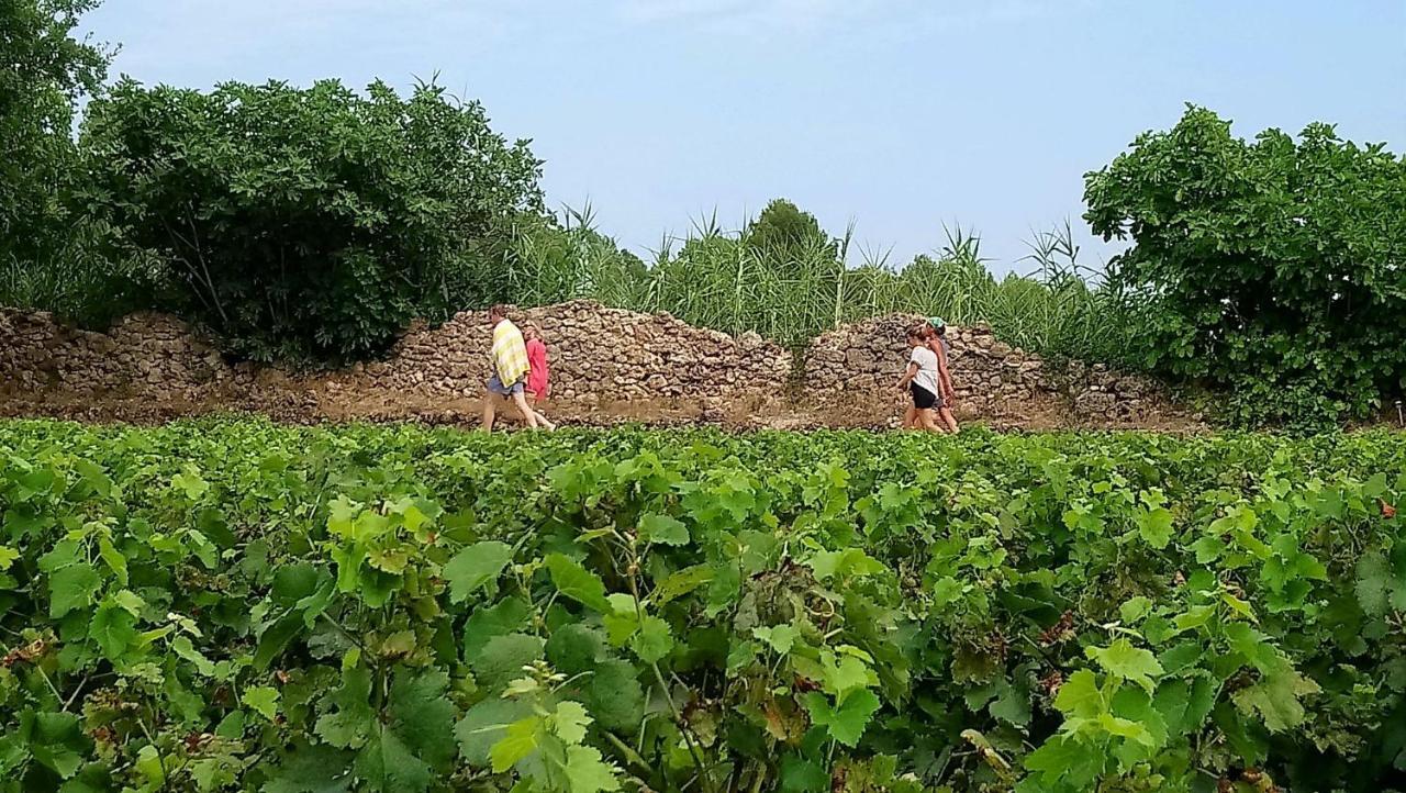 Domaine Du Clos D'Alari-Chambres D'Hotes Au Milieu Des Vignes Saint-Antonin-du-Var Exteriör bild