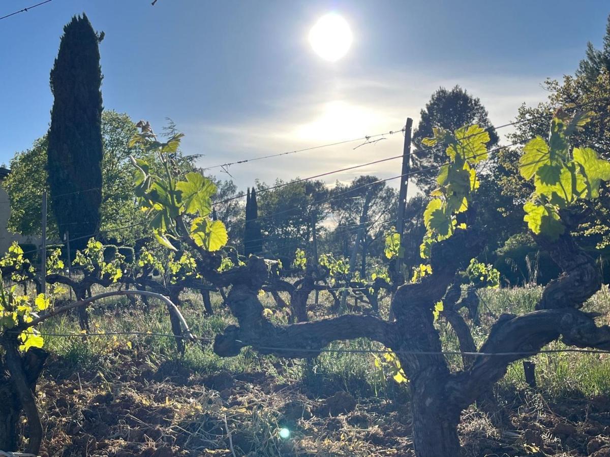 Domaine Du Clos D'Alari-Chambres D'Hotes Au Milieu Des Vignes Saint-Antonin-du-Var Exteriör bild